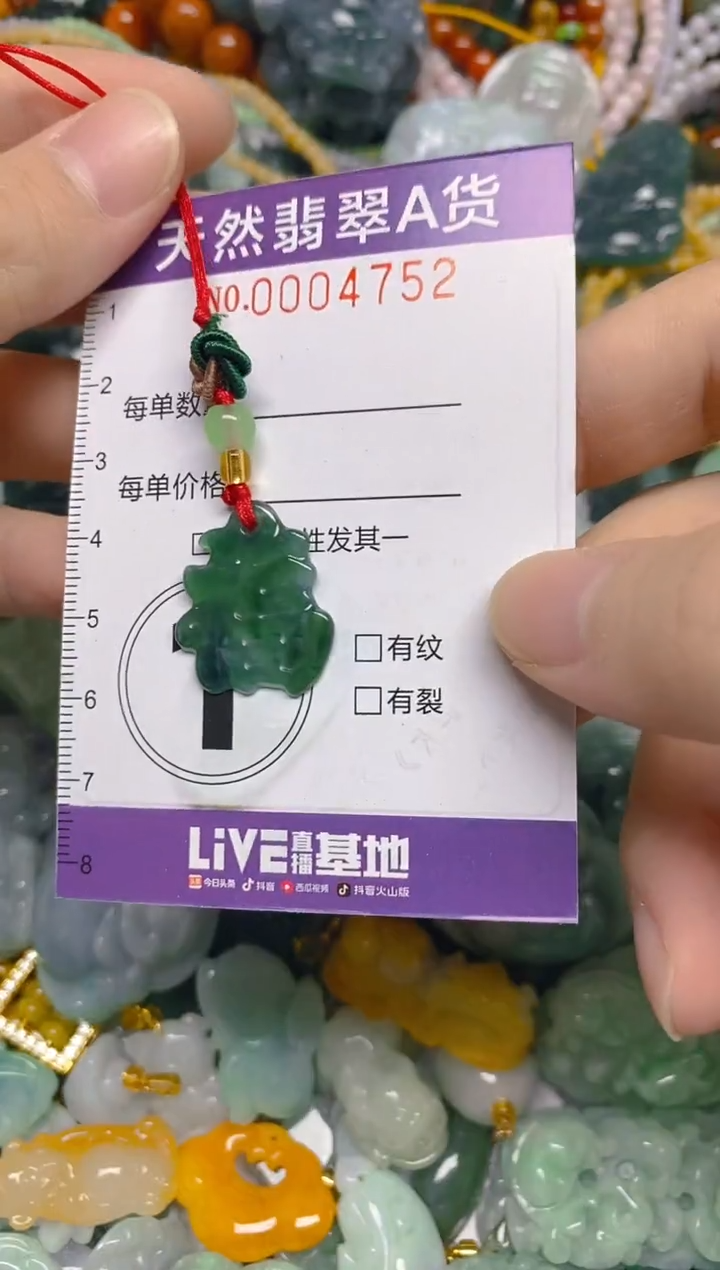 颈饰未镶嵌翡翠0004252多样性发其一