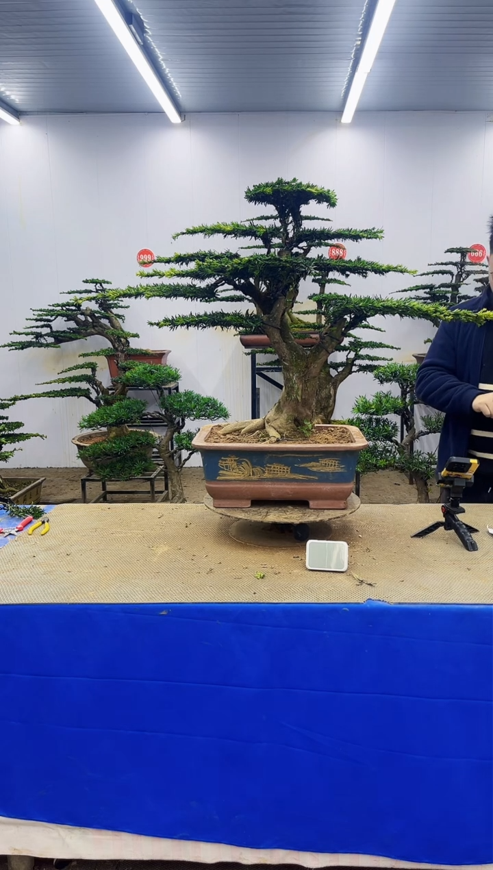 完全开放一物一拍，所见即所得