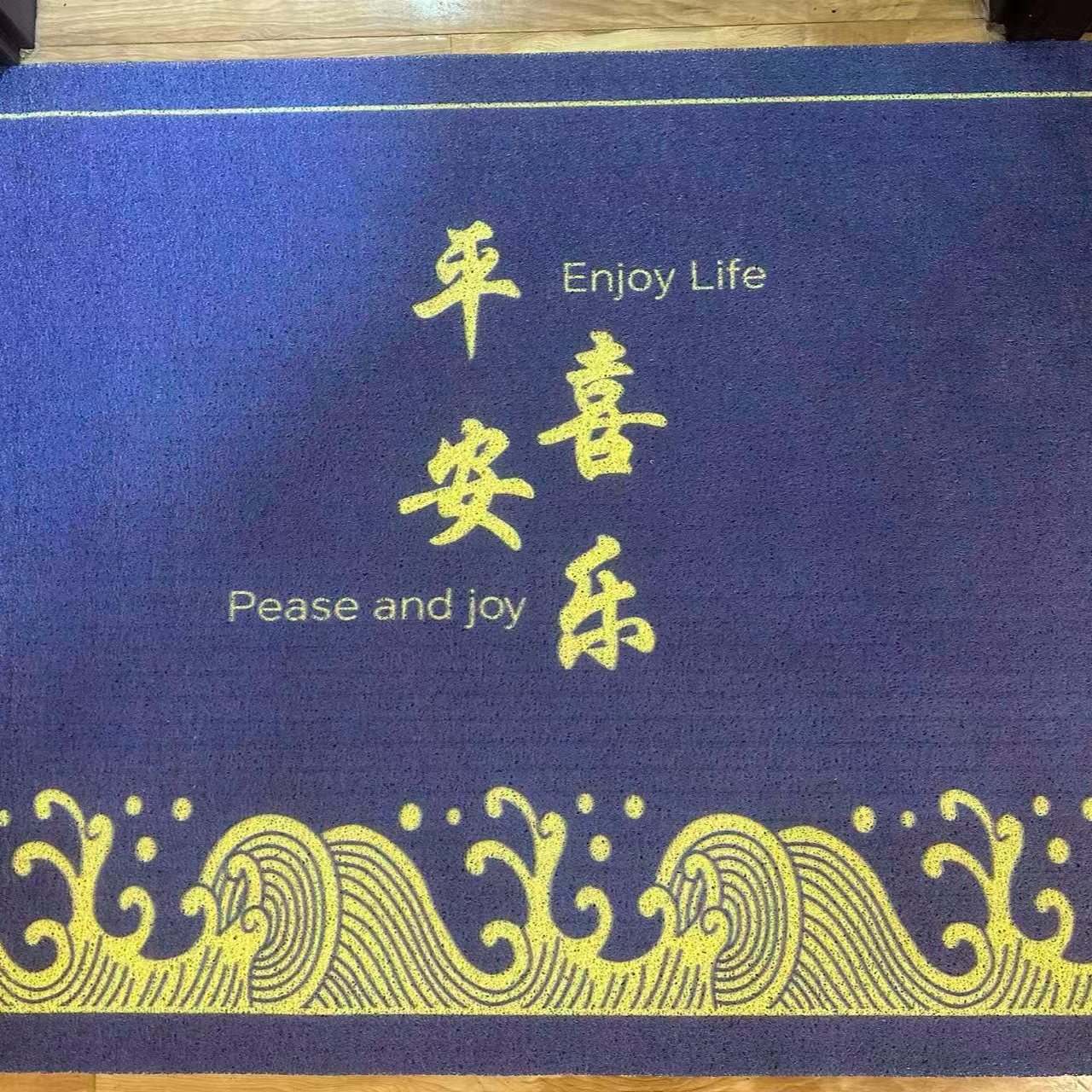 【凤晓文化推荐款】蓝色丝圈入户门地垫 东户80*100