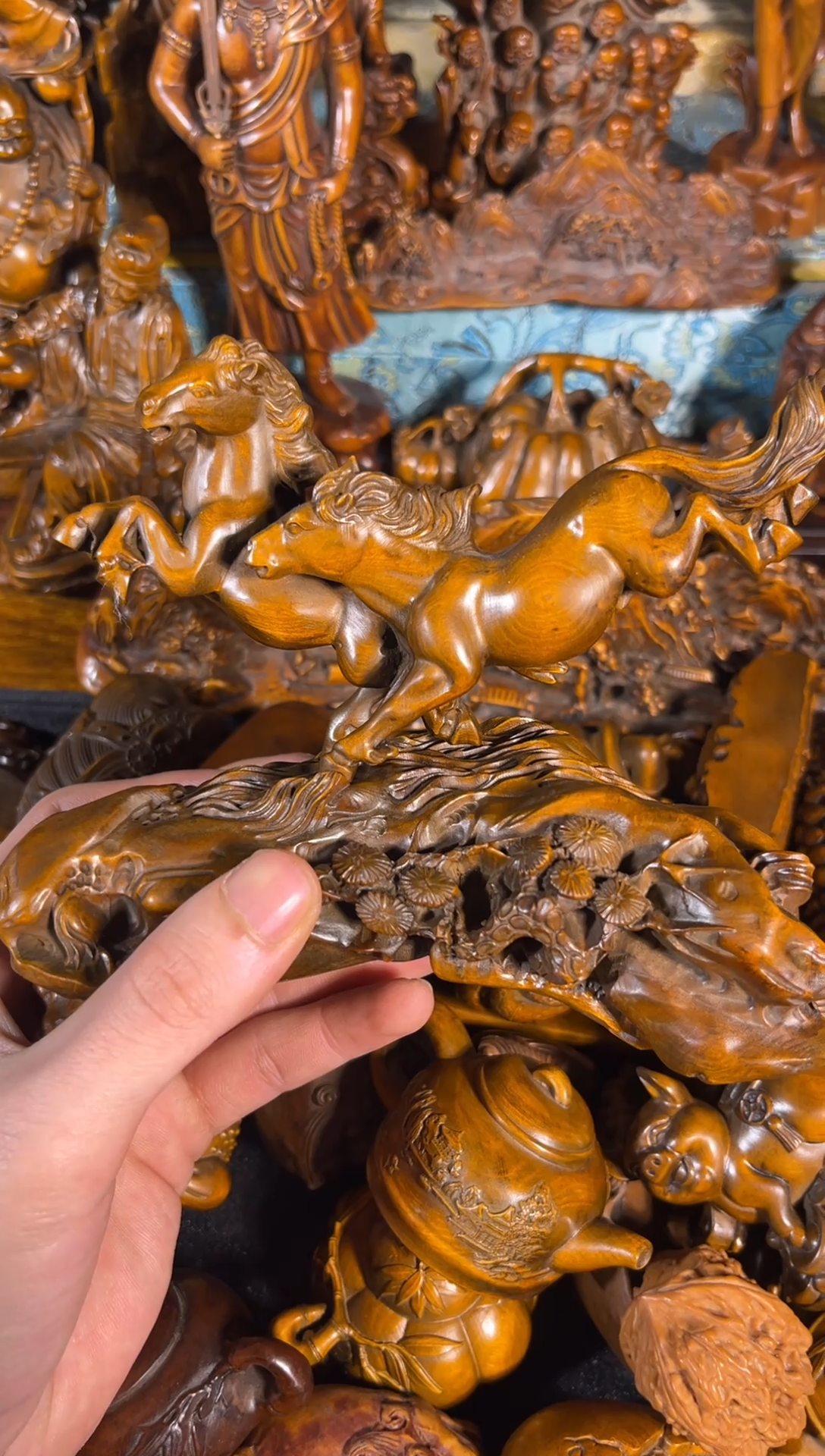 黄杨木111111111111