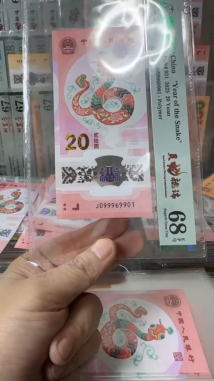 塑料099969901-蛇钞单张