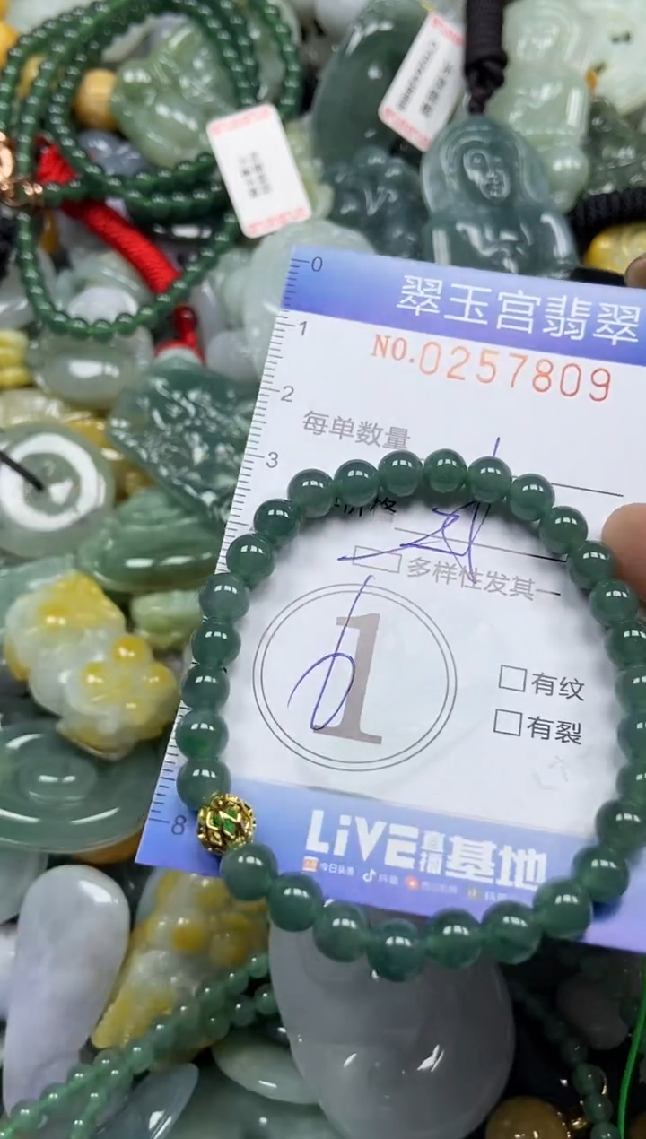 颈饰未镶嵌翡翠闪购C0257809多样性发其一