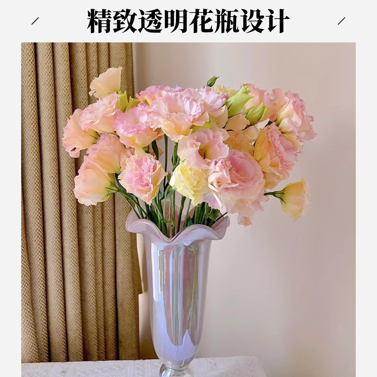 【香羿鲜花】香槟色洋桔梗700-800克/全场任意满两单及以上包邮