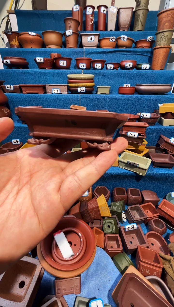 【闪购商品】紫砂紫砂花盆9*6.5*2