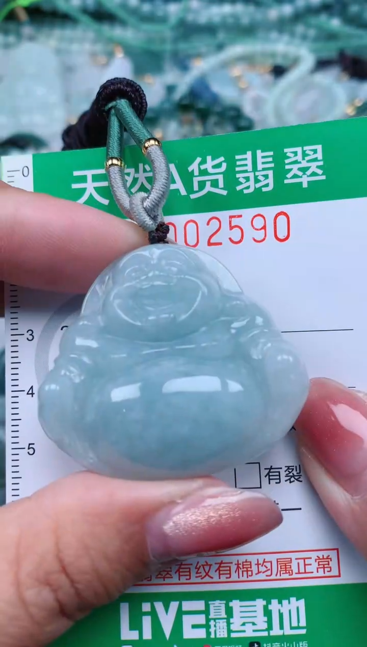 【闪购商品】翡翠颈饰未镶嵌.0002590