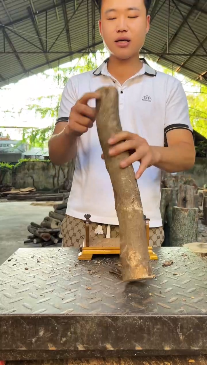 四川小叶桢楠金丝楠