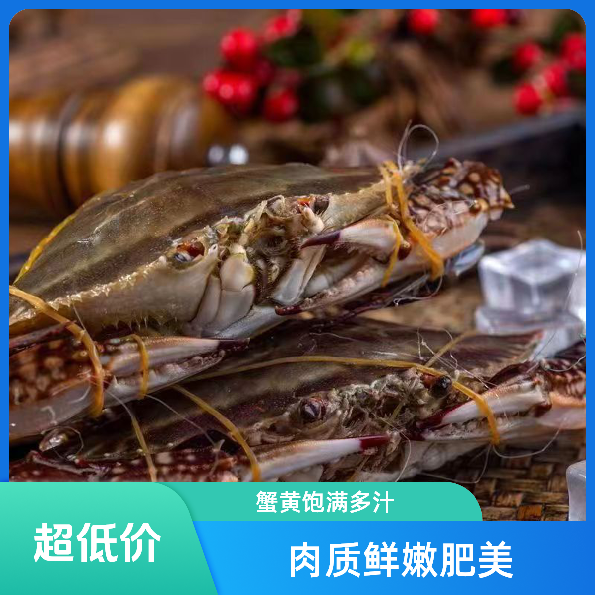 东港三点红母飞蟹有黄顺丰包邮【保鲜不保活】3-5两左右/只2斤起海鲜