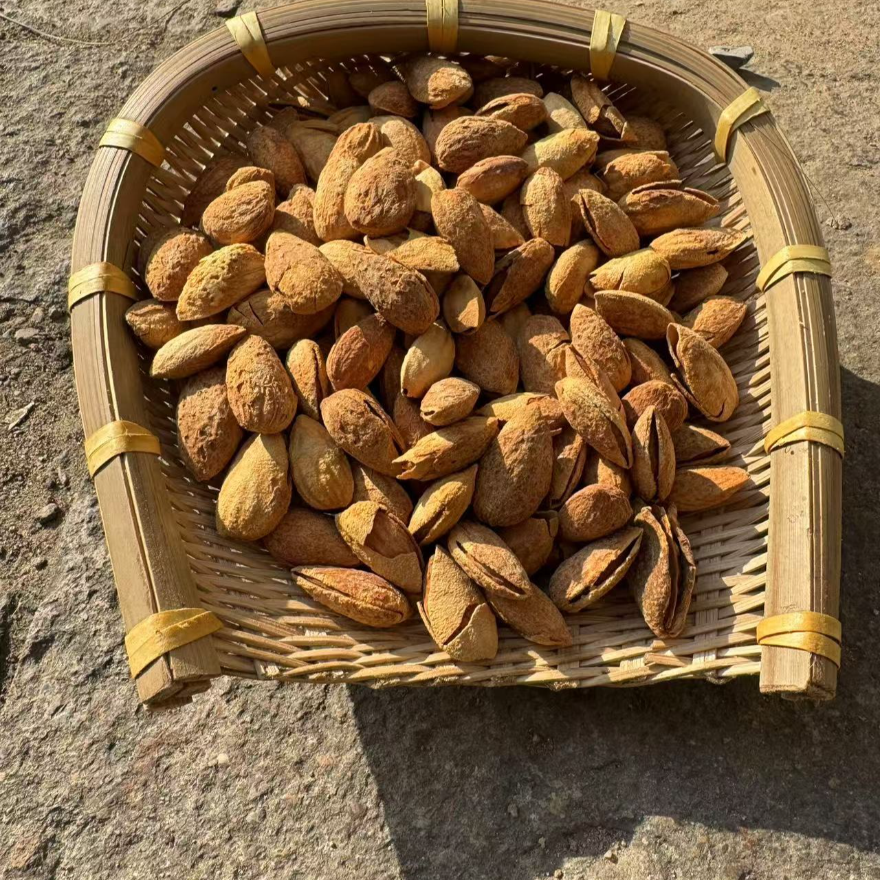 高山 农家 巴旦木