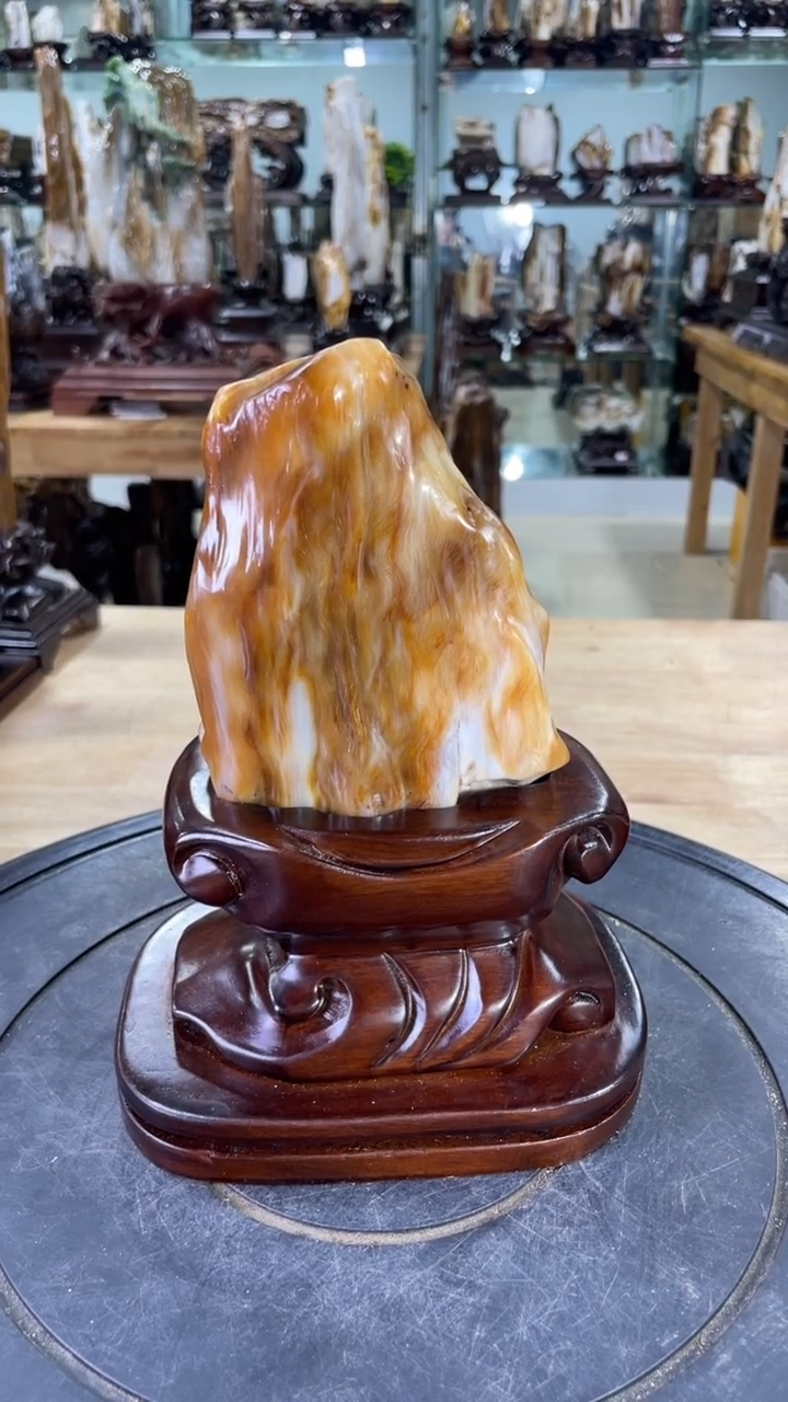 硅化玉珠宝奇石未镶嵌248