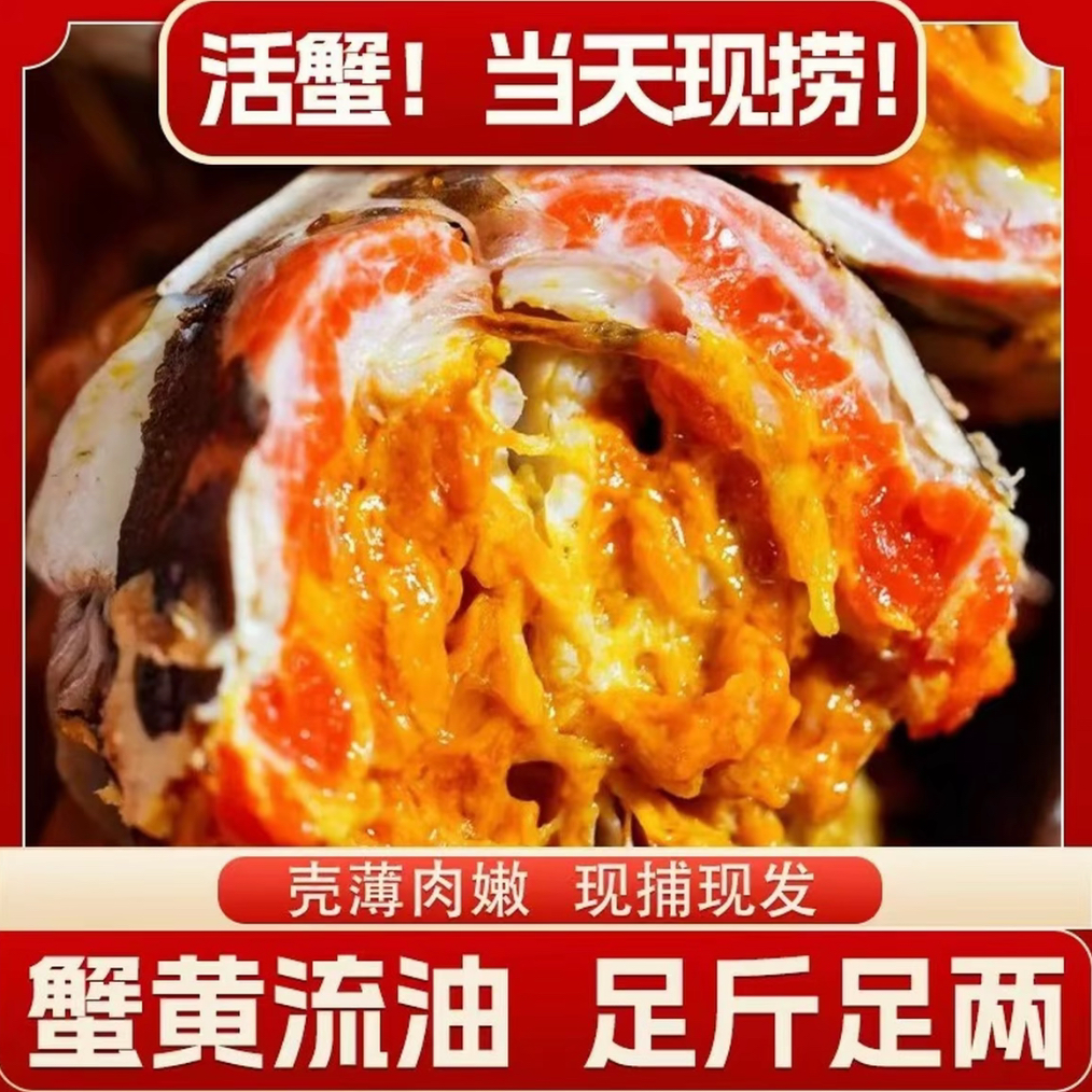 【活蟹】13苏州大闸蟹 5.0-4.7两公3只 4.0-3.7两母3只 送两只共8只