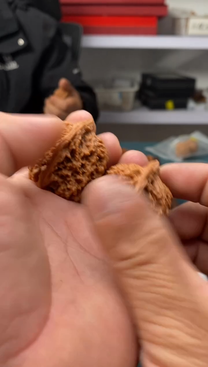 把件文玩核桃A****总野生麒麟a202