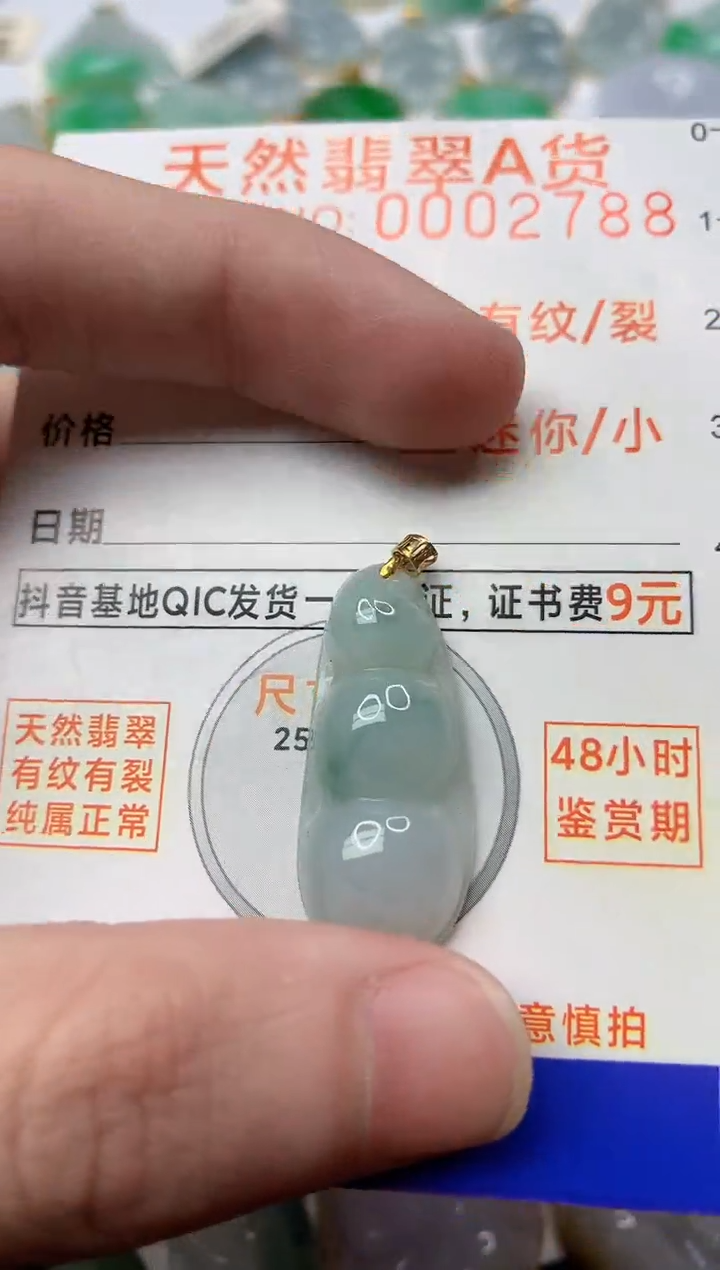 【闪购商品】翡翠颈饰18K金镶嵌2............