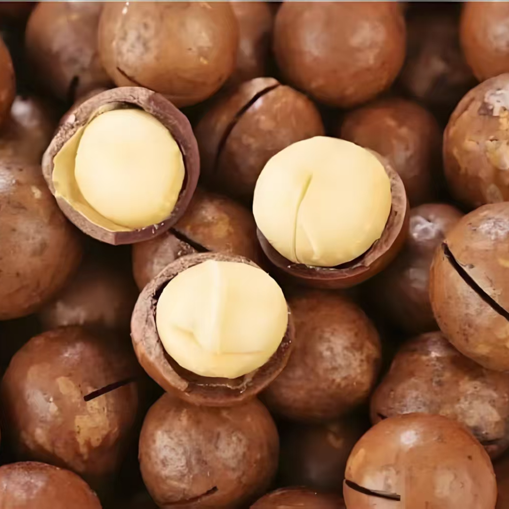 夏威夷果大颗粒奶香味饱满酥脆开口坚果休闲零食送开壳器