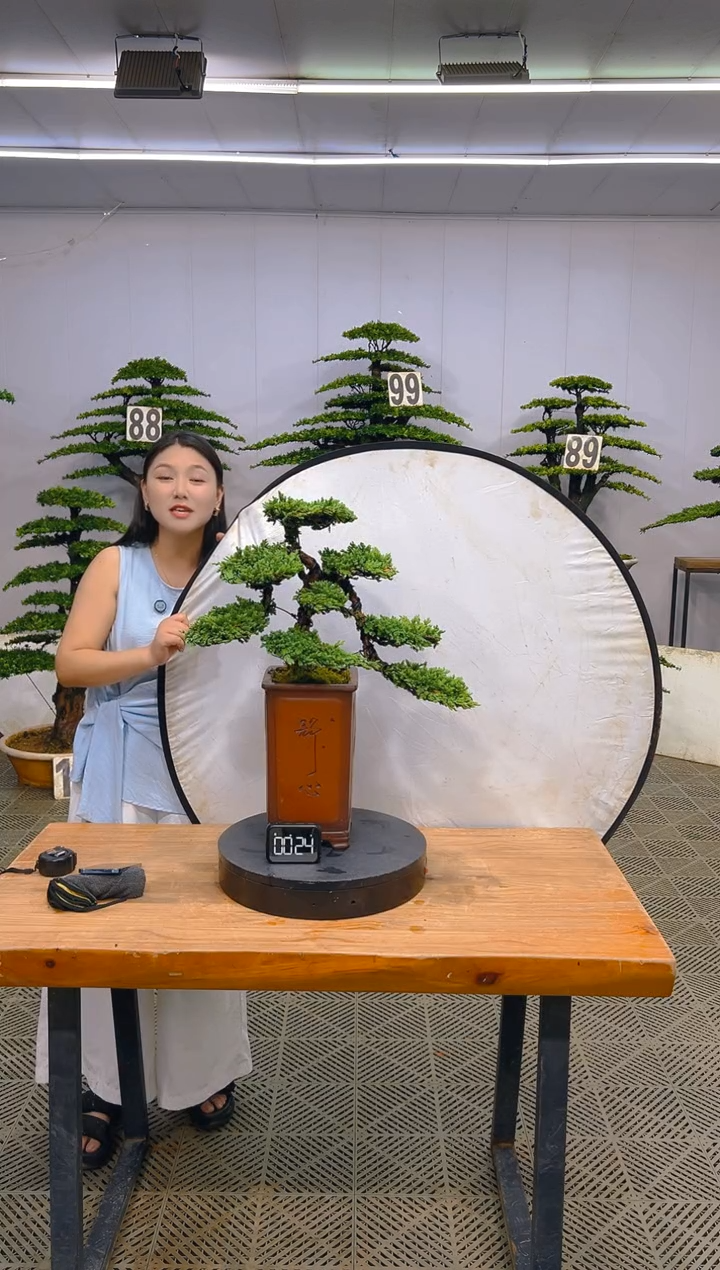 无花朵一物一拍一物一拍
