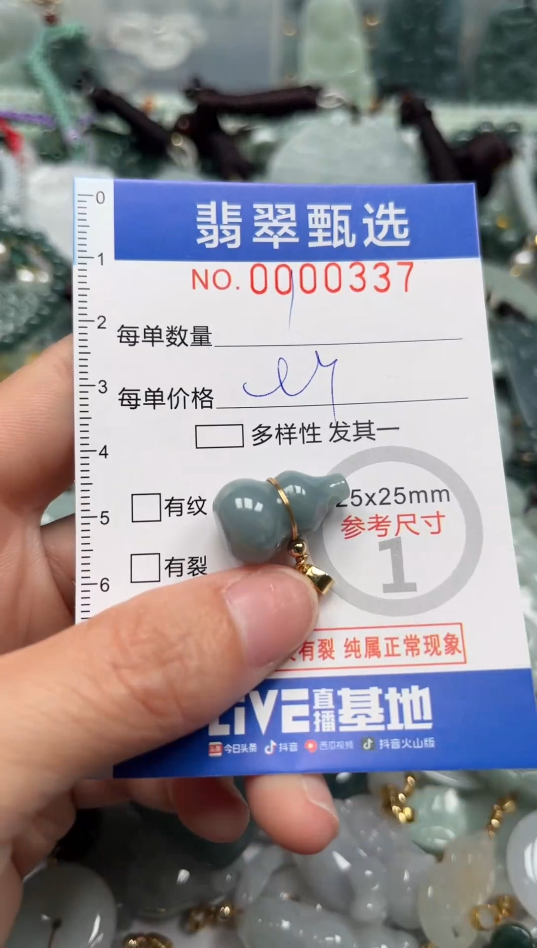 【闪购商品】翡翠颈饰未镶嵌00..0337