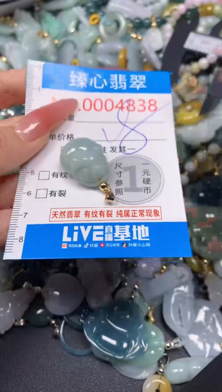 【闪购商品】翡翠颈饰未镶嵌含绳0004838