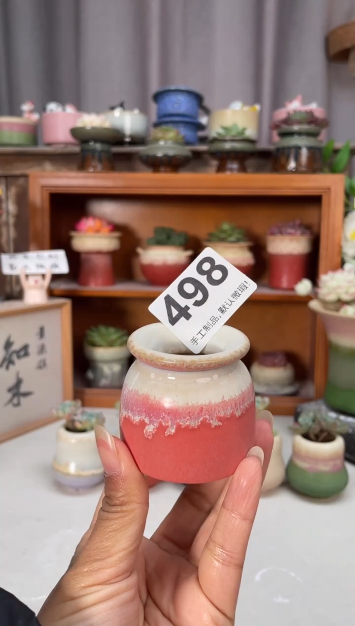 瓷片498小芳直播编号