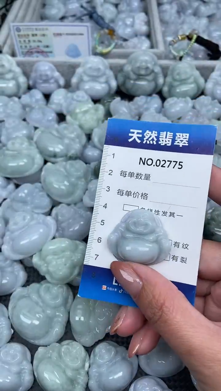 颈饰未镶嵌翡翠纯天然A货翡翠2775