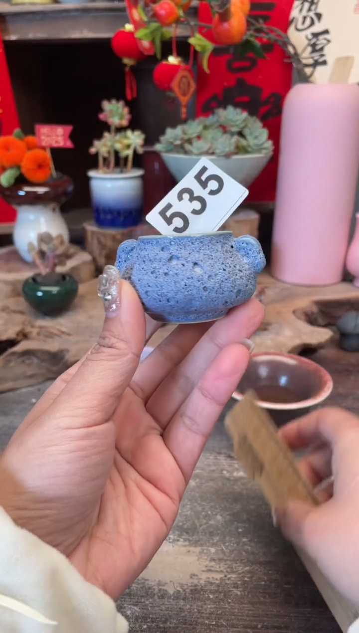 【闪购商品】摆件535知木小芳花盆