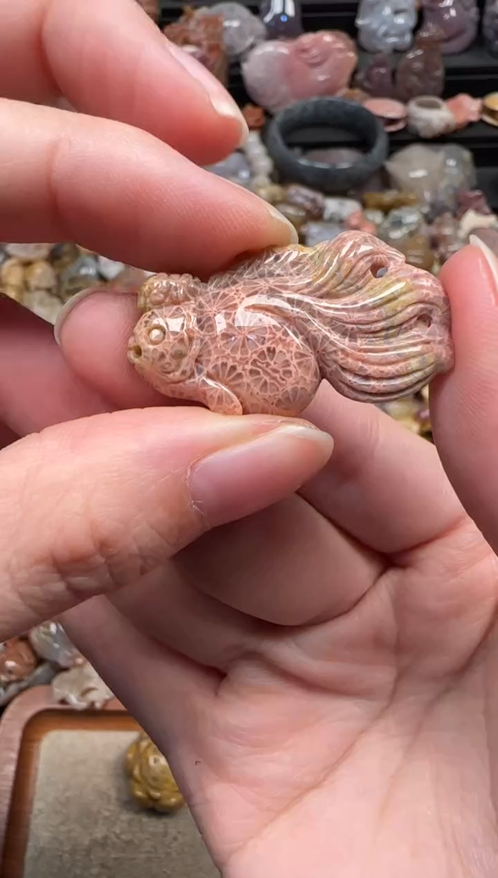 颈饰未镶嵌硅化珊瑚（珊瑚玉）226