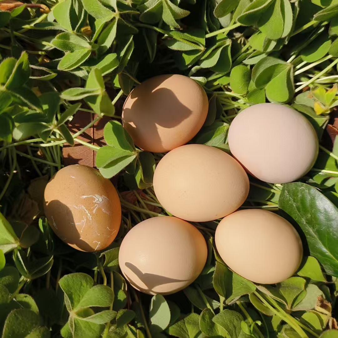 蒋北村农家土鸡蛋