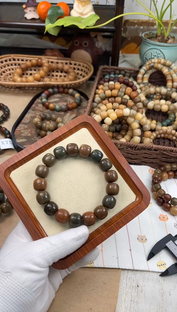 手串菩提根/象牙果x789 卡16 干磨瑕疵猪油膏