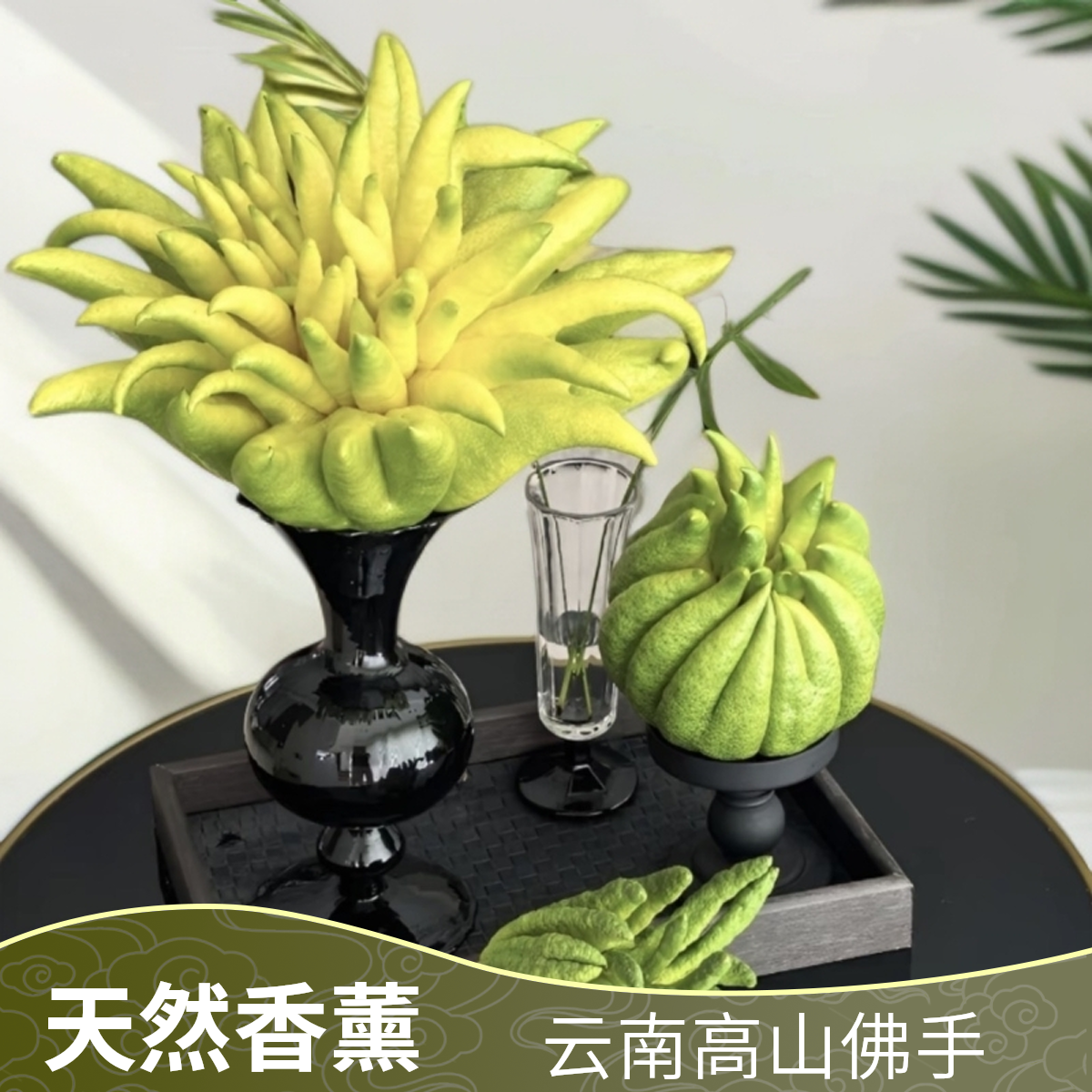 【滇峰佛手柑】云南基地现采现发可闻香可观赏天然香薰佳品高级小众