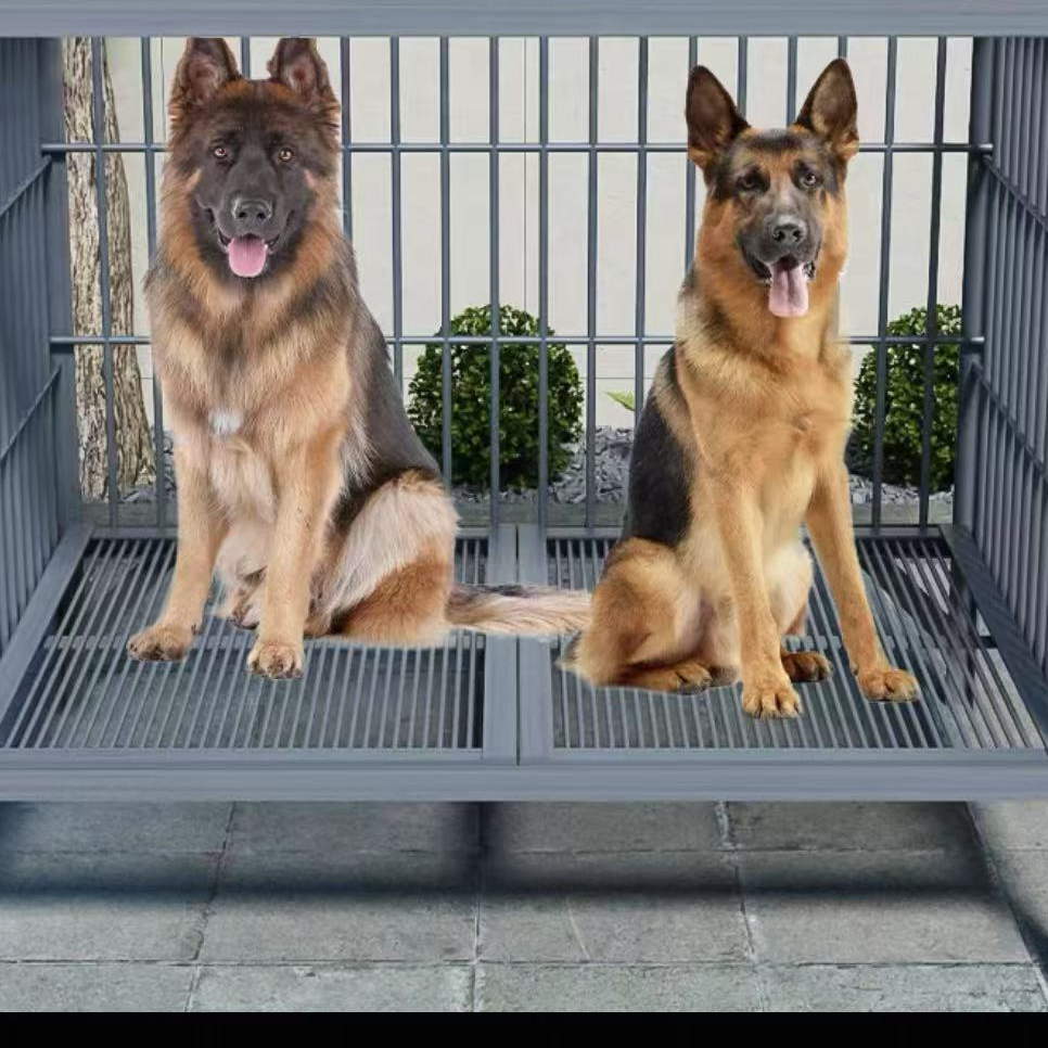 武安小贾犬舍狗狗专用链接，一物一拍，以直播讲解为主