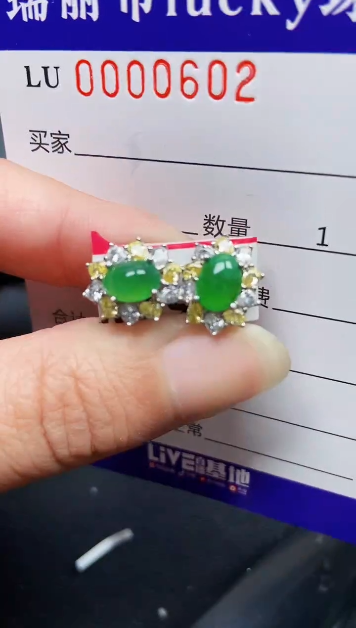 翡翠银S925镶嵌颈饰0602