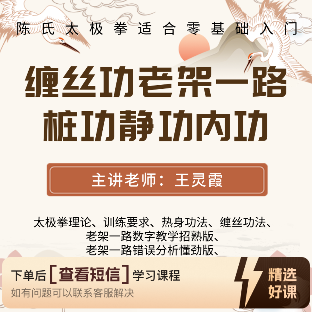陈氏太极拳缠丝功老架一路桩功静功内功教程（留意短信解锁课程）
