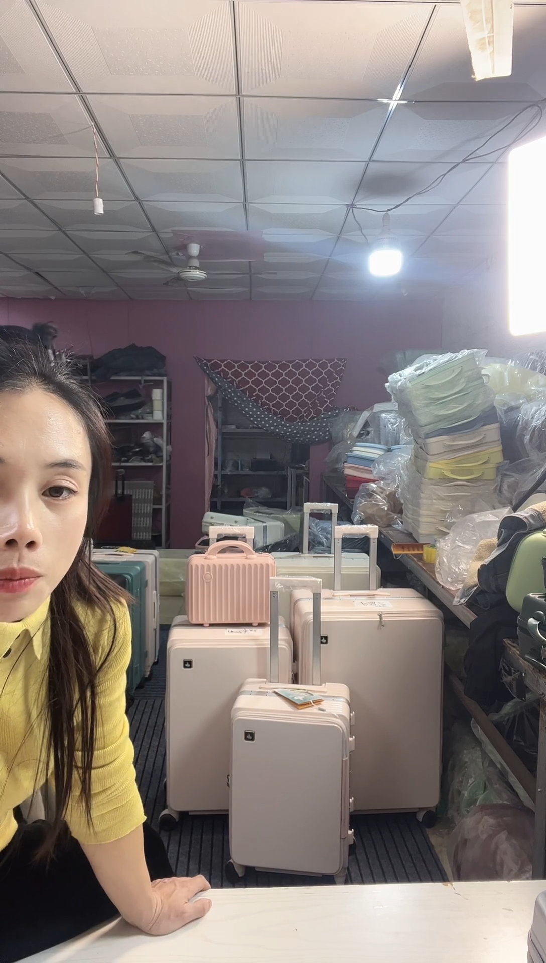 PU24寸行李箱粉色19开