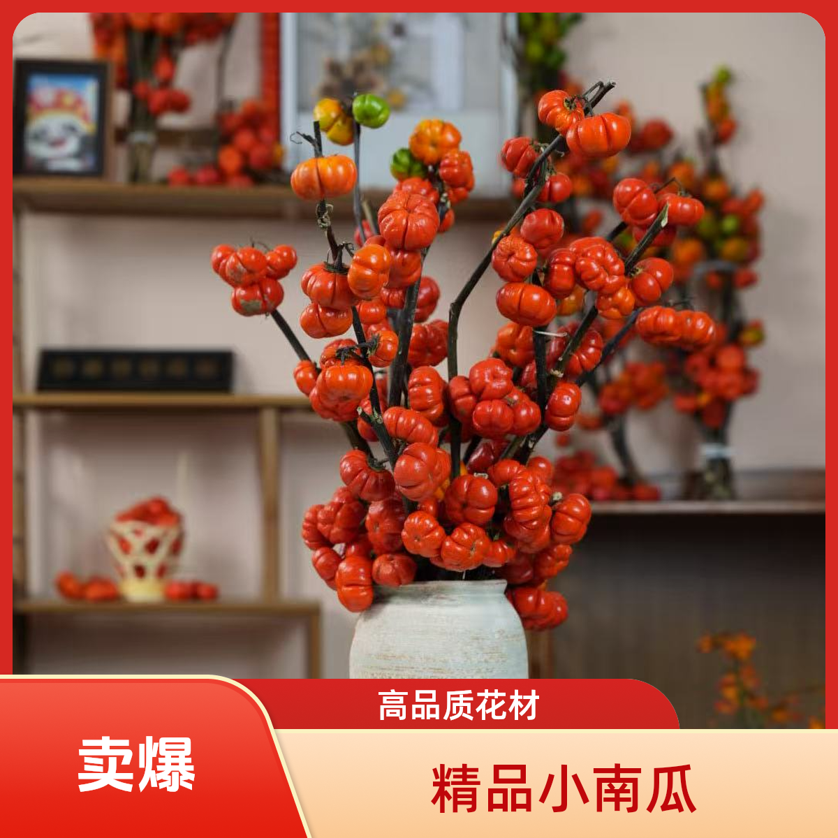 【精品小南瓜】云南高端花材 高级 高品质