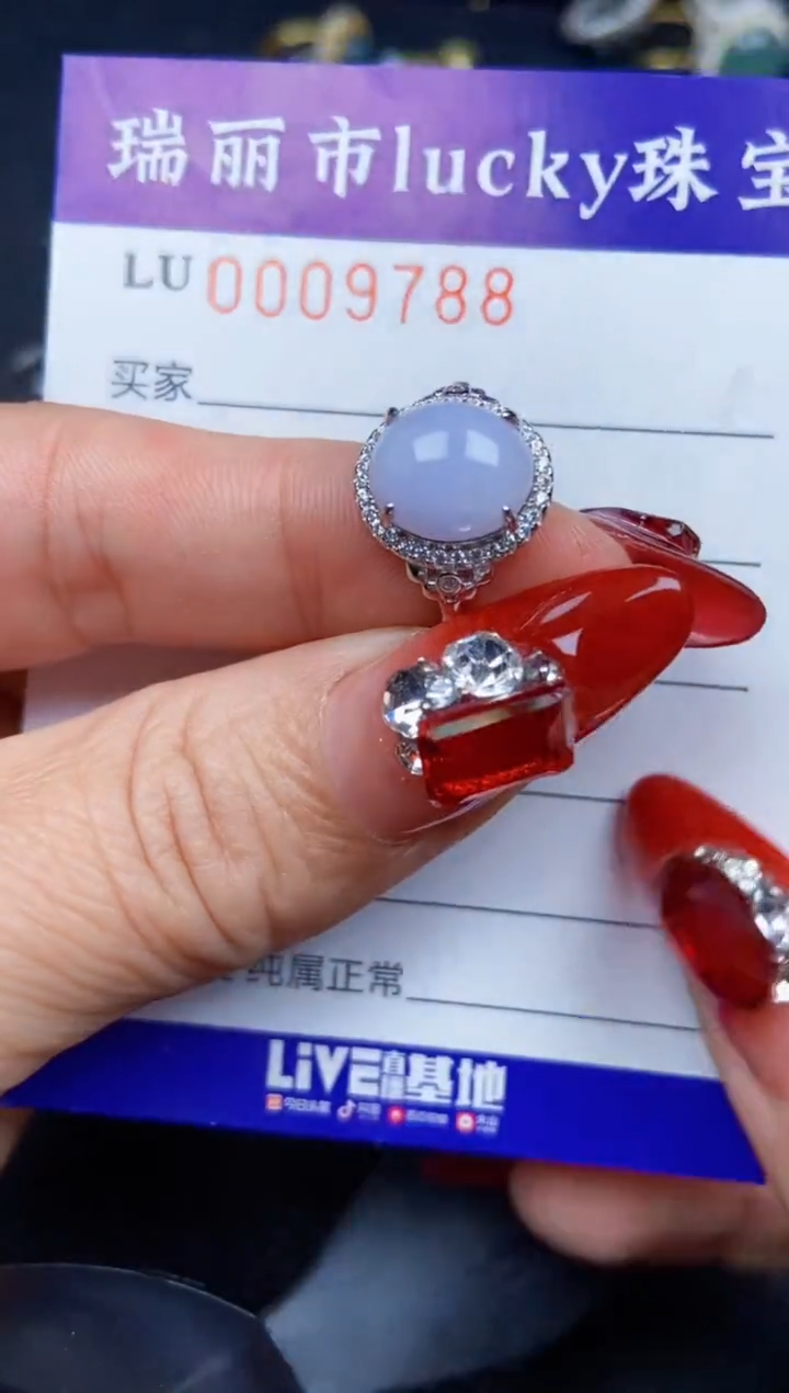 【闪购商品】翡翠颈饰银S925镶嵌9788