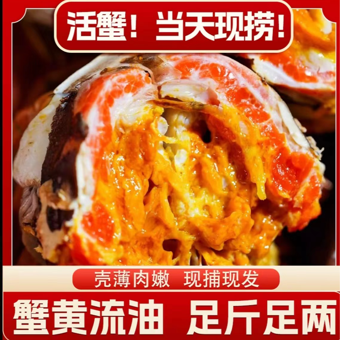 【活蟹】江苏精品大闸蟹公6.0-5.7两母4.0-3.7两加2只到手10只G1