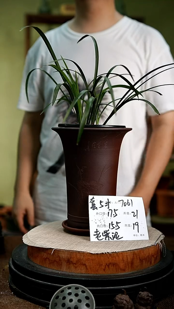 紫砂花盆花卉园艺7061+z