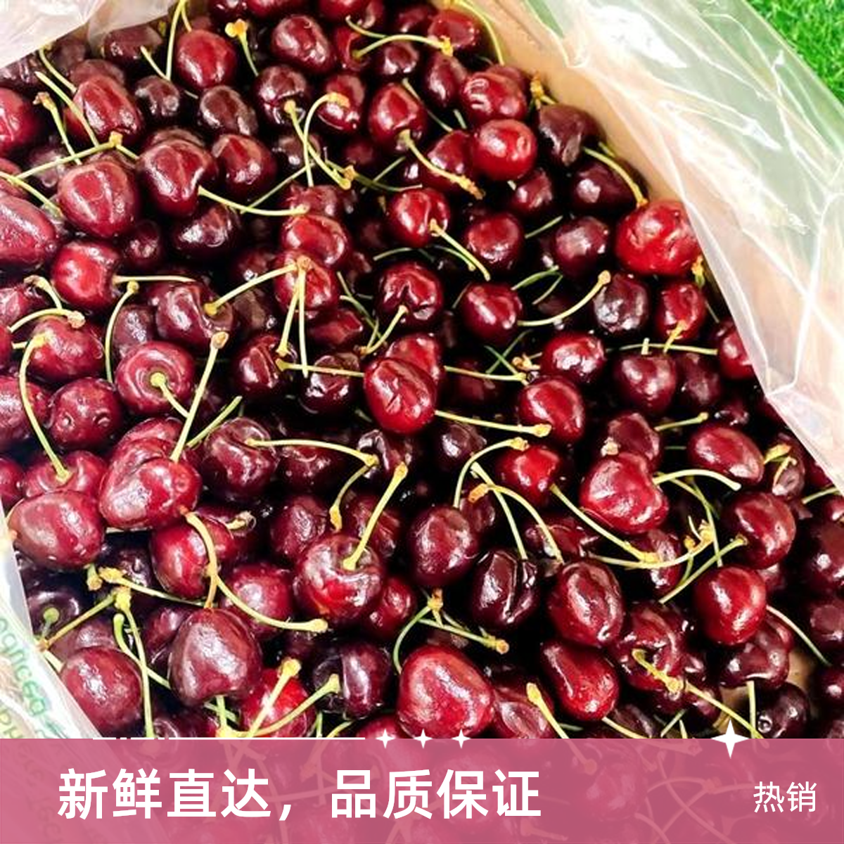 单J海运科迪亚车厘子 净重3斤