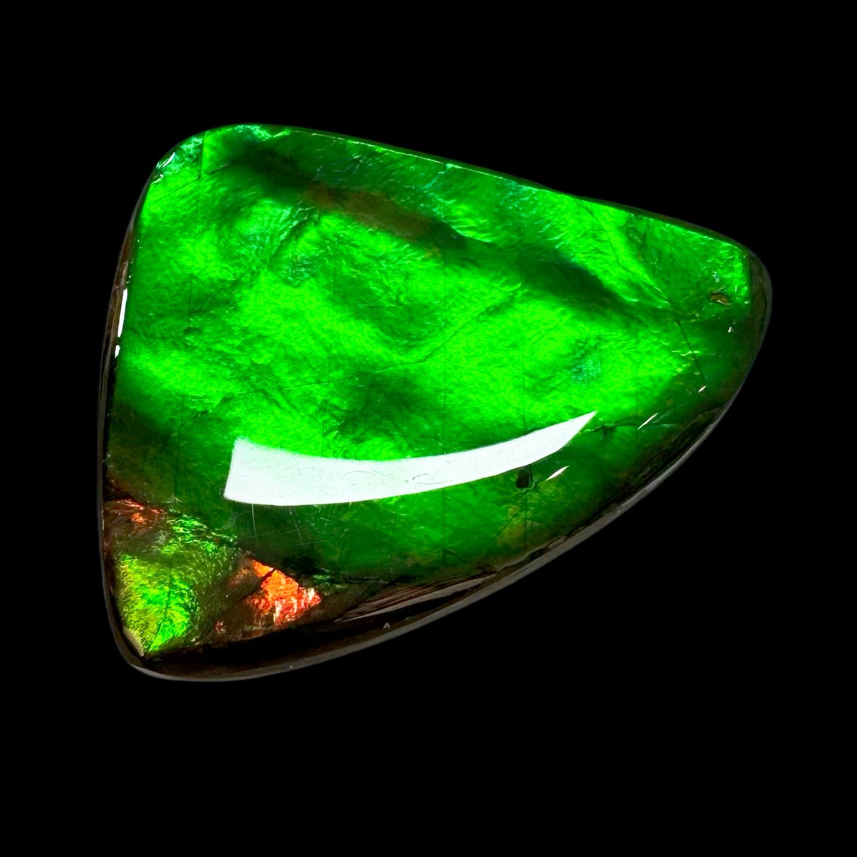  【斑彩石】32.3mm 原石BC  加拿大 古贝壳化石B8