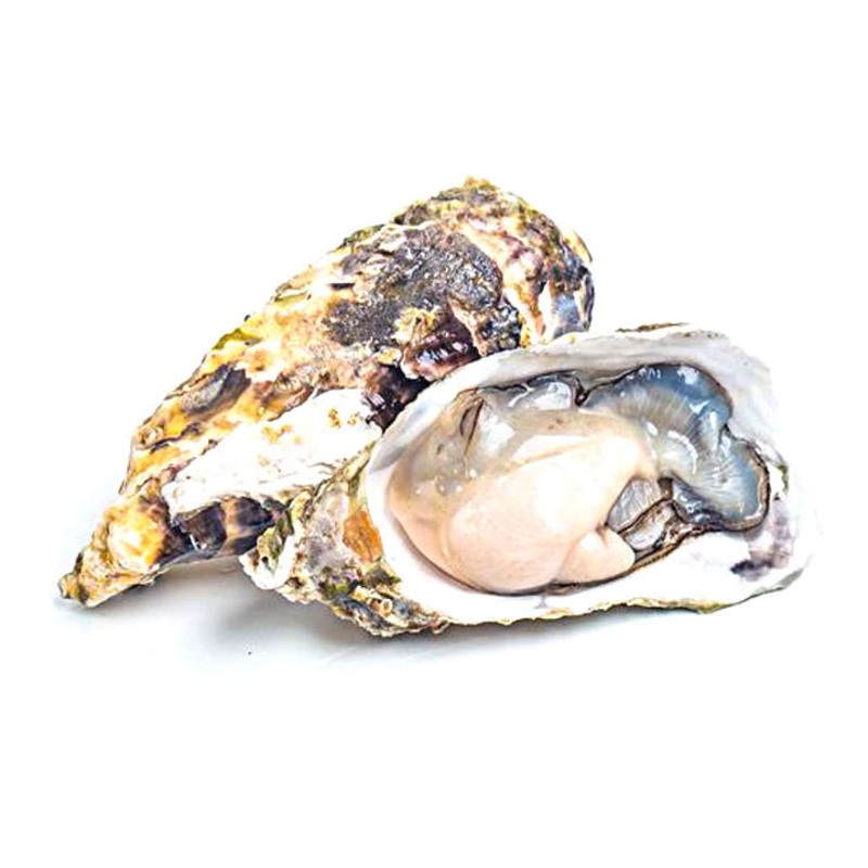鲜活 生蚝 1.5+ 1个