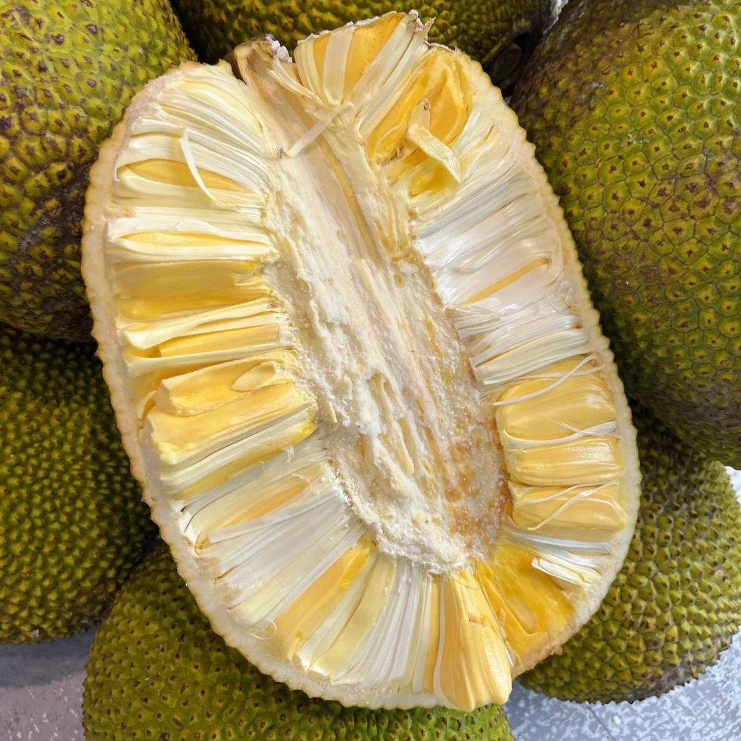 【姜婆甄选】新到越南菠萝蜜 生活甜如蜜  就吃菠萝蜜黄肉菠萝蜜越南社会主义共和国