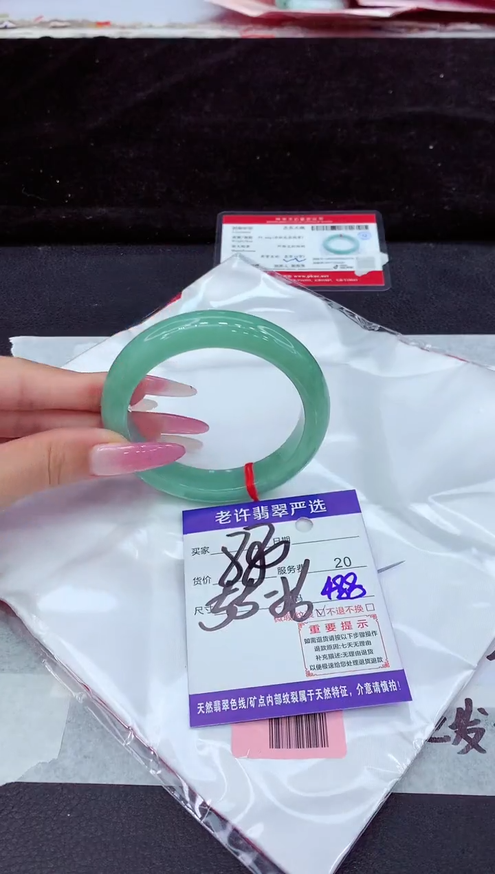 未镶嵌手镯翡翠1