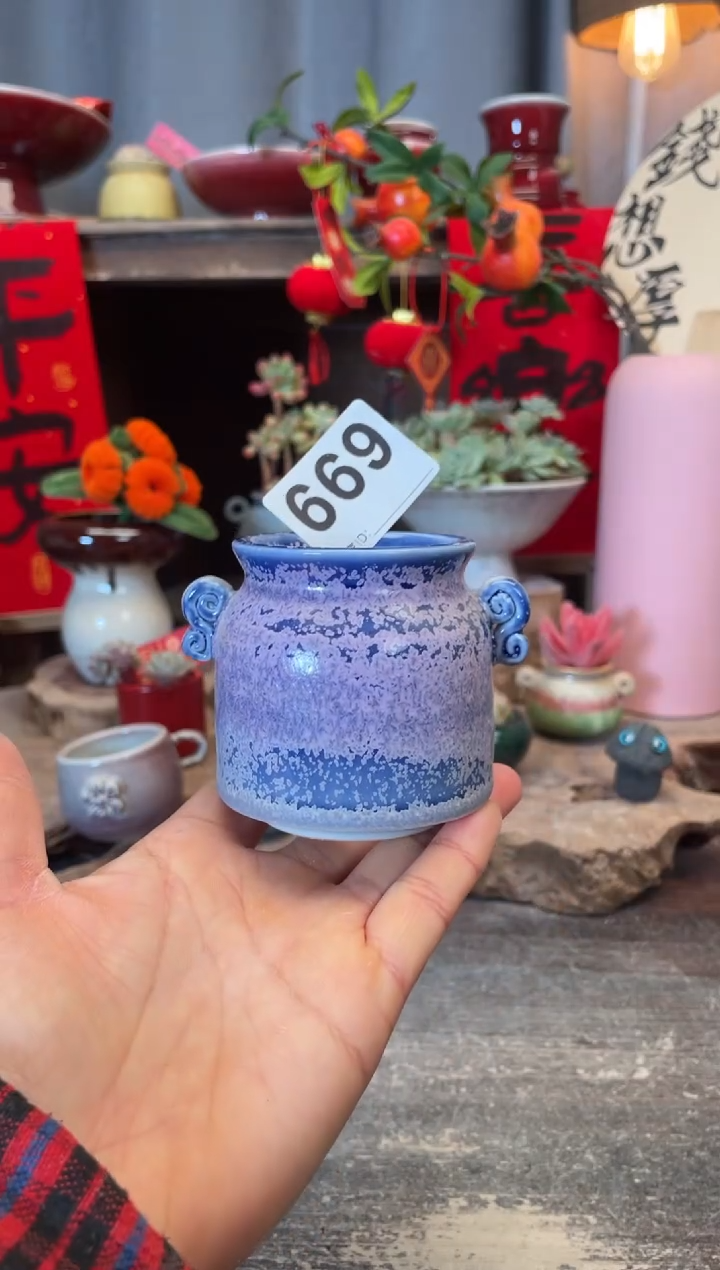 【闪购商品】摆件669知木小芳花盆