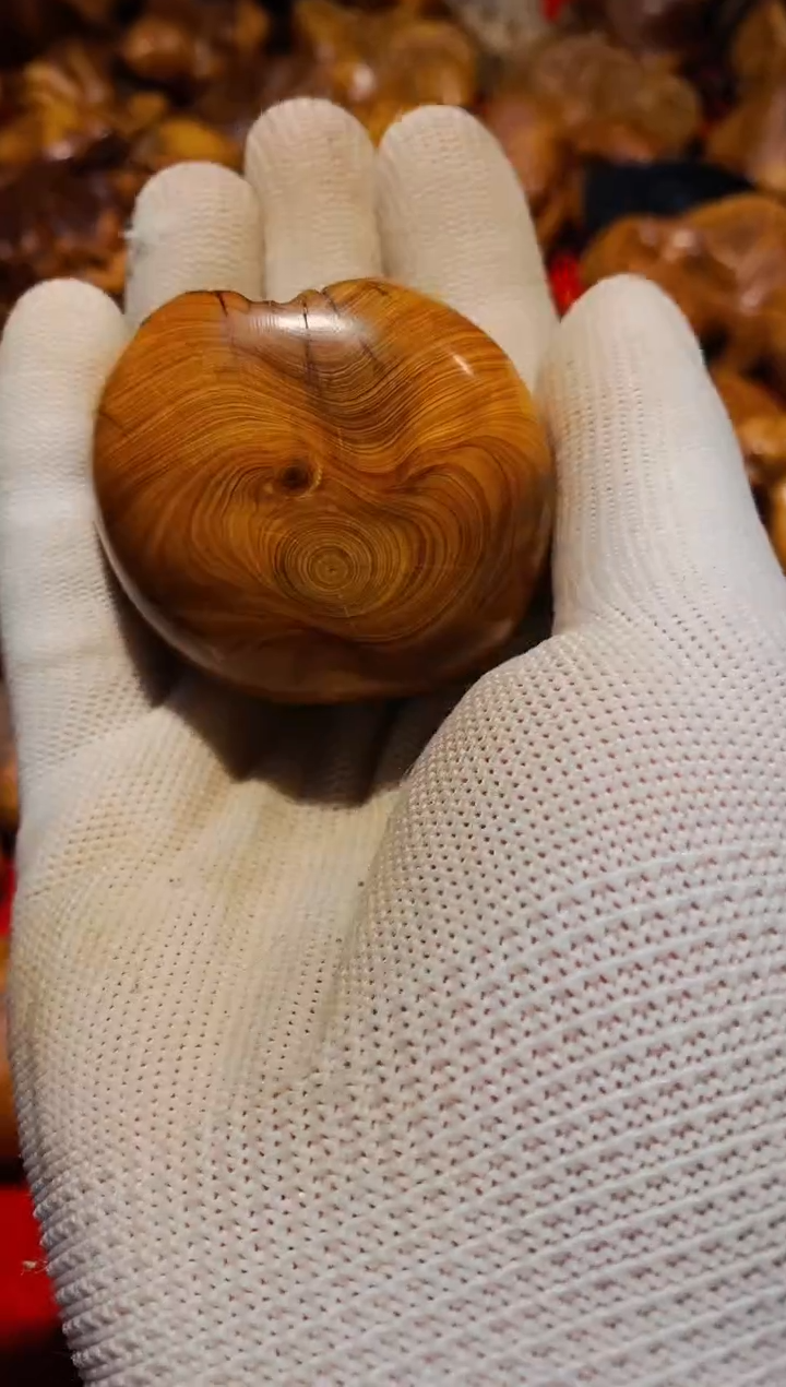 【闪购商品】柏木63崖柏崖柏崖柏崖柏崖柏