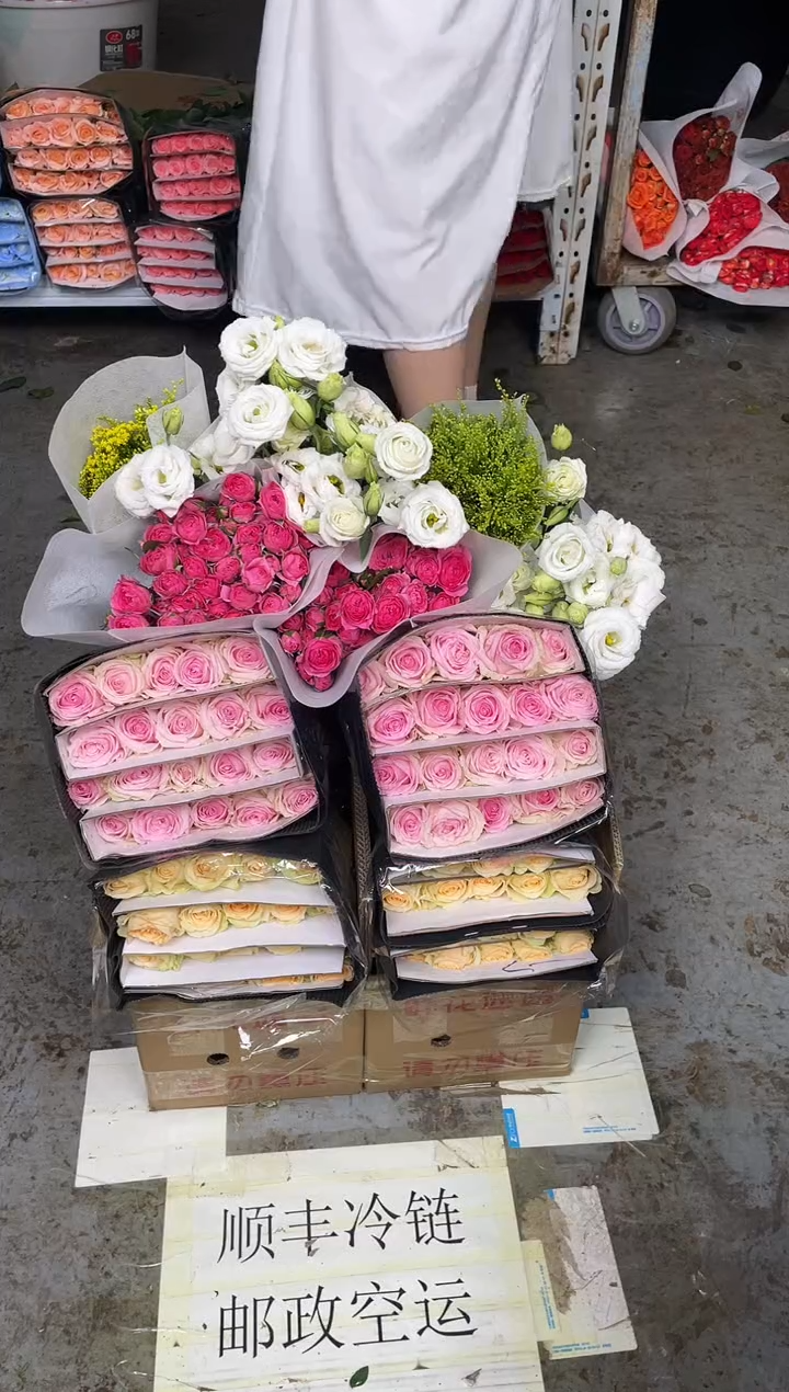 香槟20枝+桃红20枝+苏菲10枝+白桔梗400克+黄莺