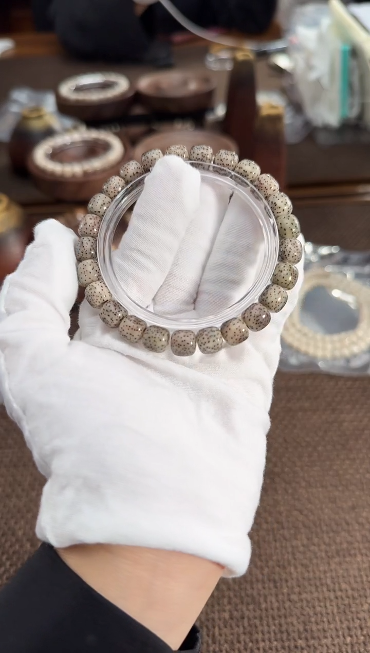 手串星月菩提灰背河豚（9*8）2093