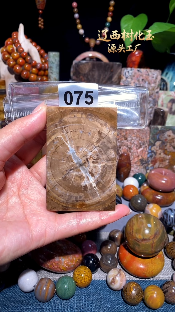 未镶嵌-硅化玉天然北票硅化玉吊坠