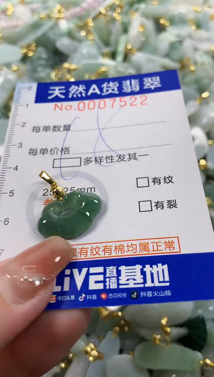 颈饰未镶嵌翡翠天然A货翡翠