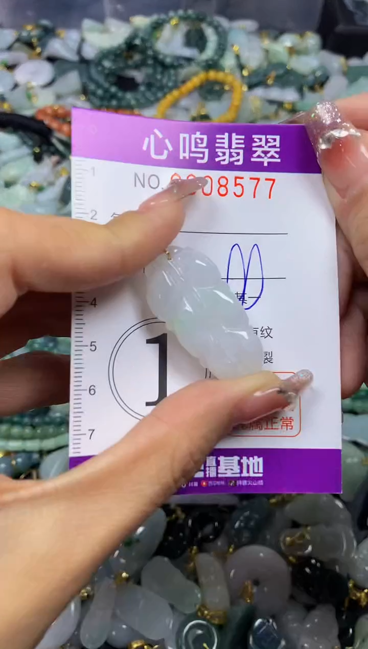 【闪购商品】翡翠颈饰未镶嵌闪购008577