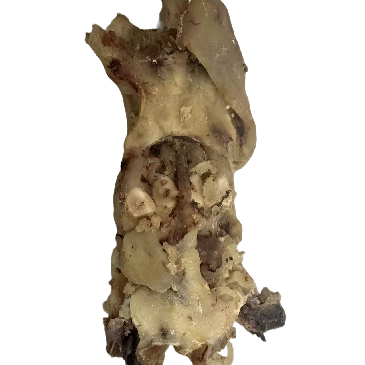 大泗老蒋牛肉店  拆骨熟牛脚筋（千里香）3斤   红烧炖汤