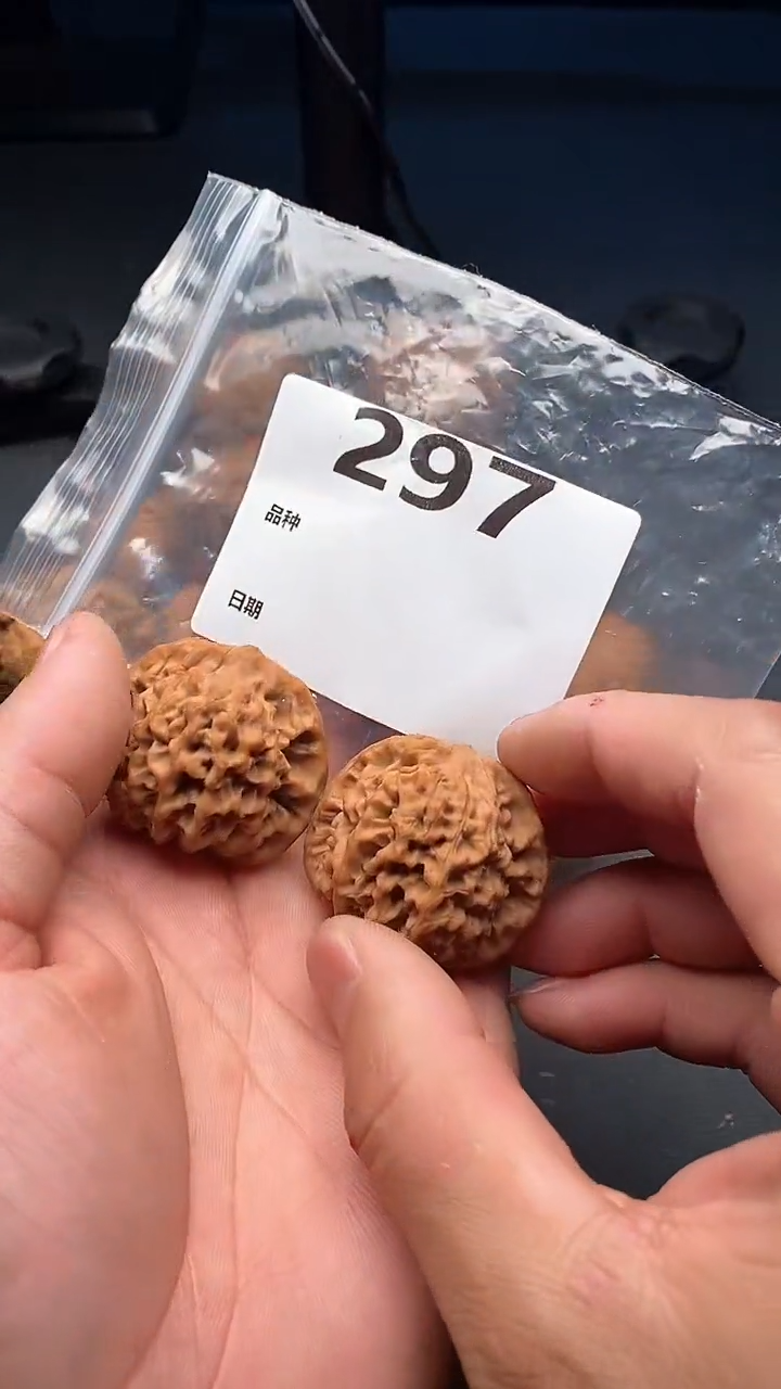 【闪购商品】文玩核桃吊坠297号40尺寸全品秦闷