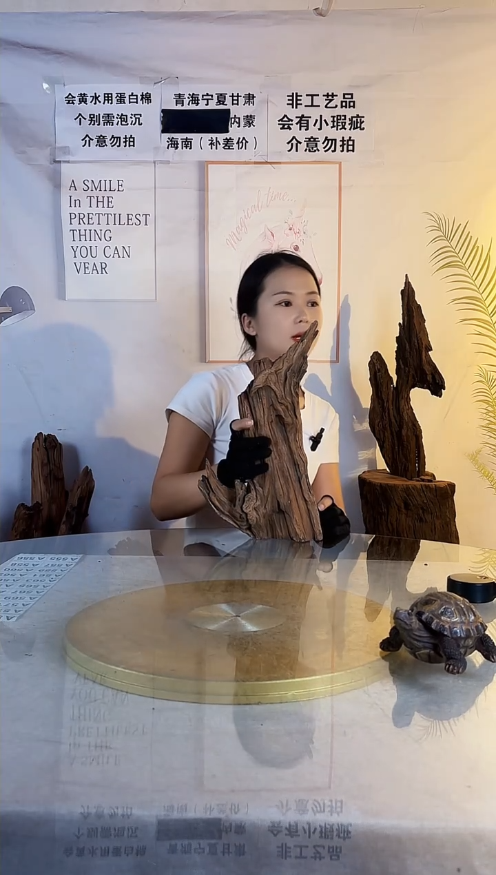 清*紫柚沉木 一物一拍A538